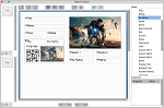 Advanced Report Editor